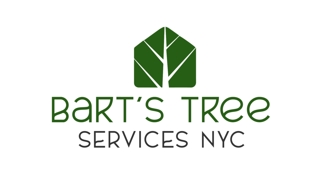 best tree service nyc